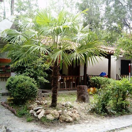 Camping Elizabeth Kalyvia Varikou Exterior foto