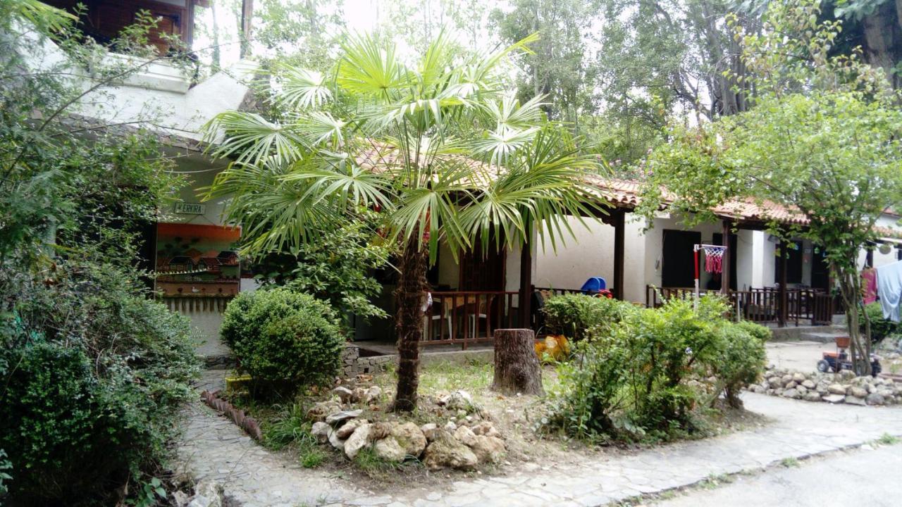 Camping Elizabeth Kalyvia Varikou Exterior foto